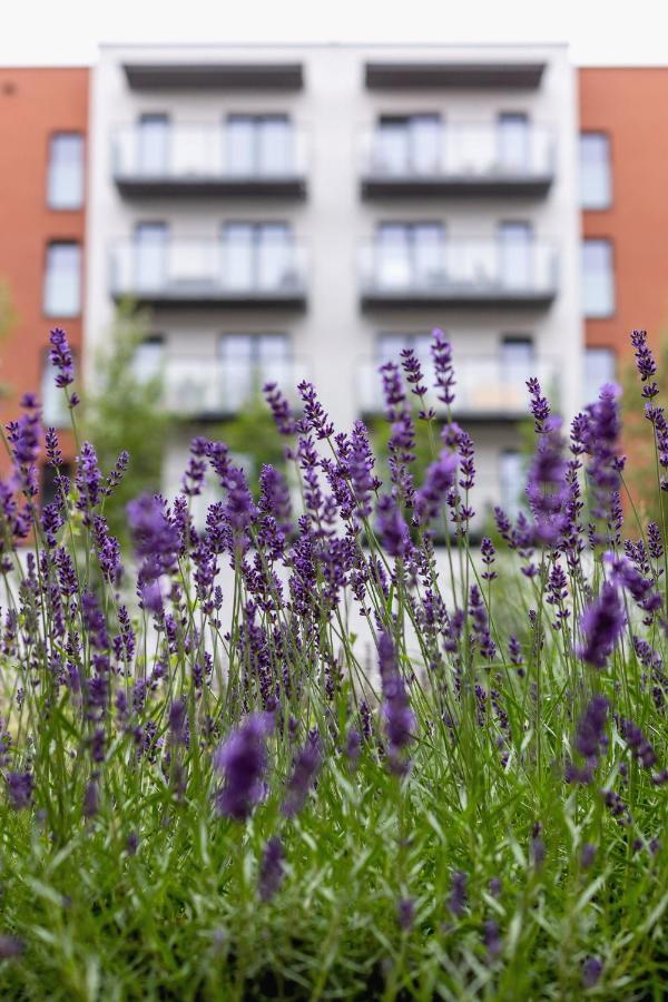 Apartmán Modern Podgorze With Parking By Renters